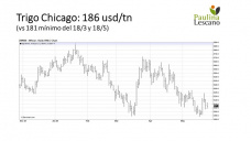 Trigo: que si que no.. pero no encuentra mucha fuerza por el momento, por con Paulina Lescano - Clínica de Granos