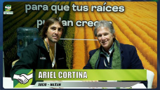 Cómo mejorar la infiltración y la agregación de los Suelos para 