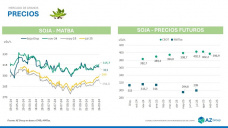Soja: EEUU y Brasil con estimaciones récord de producción, ¿y?; con Sofía Gayo - Clínica de Granos