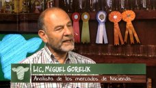 Ganad.TV: B4: ¿Vale la pena jugarse a producir Novillo pesado de exportación?; con M. Gorelik 