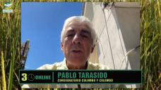 ¿Cual será el mejor negocio Ganadero?; con Pablo Tarasido - consignatario