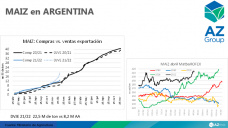 Maíz: El poco volumen remanente para exportar puede presionar los valores del cereal, con Lorena D´Angelo - Clínica de Granos