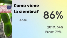 Soja: en un mercado tan incierto, cuando vemos una mejora de 10 usd/tn que hacemos?, con Paulina Lescano - Clínica de Granos