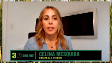 Estrategias comerciales pre-electorales en maíz, soja y trigo con rindes globales; con Celina Mesquida - mercados