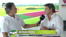 Digital Faming Solutions y el momentum justo para implementarlas a Campo; con Hernán Mora - Xarvio