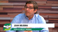 ¿Cómo no caer en el espejismo pastos naturales verdes y el Niño?; con Juan Bologna