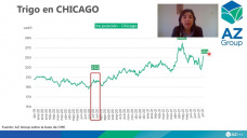 Trigo: Con la mirada puesta en el trigo de primavera de Estados Unidos, con Catalina Ferrari - Clínica de Granos