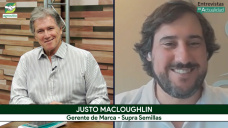 Agrónomos millennials protagonizan el salto tecnológico en Maíz con foco en alto rendimiento; con Justo MacLoughlin - Supra