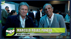 La Comisión de Carnes de la Rural, el tema de la Aftosa, y la decisión de vacunar o no; con M. Rojas Panelo - veterinario