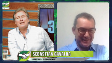¿Le conviene al productor vender con el U$S Soja de Massa?; con Sebas Gavaldá - Globaltecnos
