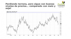 Trigo: seguimos sin novedades sobre el registro de exportaciones.. por cuanto tiempo?, con Paulina Lescano - Clínica de Granos