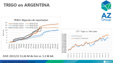 Trigo: Exportadores ya vendieron todo lo permitido, con Lorena D´Angelo - Clínica de Granos