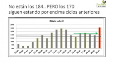 Maíz: ha perdido valor en las últimas semanas, pero.. sigue con precios muy por encima respecto a los mínimos del 2020, con Paulina Lescano - Clínica de Granos