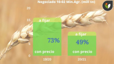 Trigo: continúa el retraso en el nivel de negocios en relación al ciclo anterior, con Paulina Lescano - Clínica de Granos