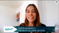 ¿Podrán convivir la Carne Celular y el #BoomGanadero?; con Sofía Giampaoli desde Londres