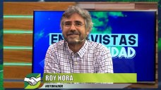 ¿Cómo pensamos al Campo y a nuestros próceres los argentinos?; con Roy Hora - historiador