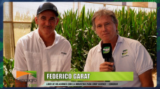 Agricultura Regenerativa para producir más granos con menos, restaurando ambientes; con F. Garat - Bayer