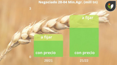 Trigo: el gran seguidor en el mercado internacional, con Paulina Lescano - Clínica de Granos