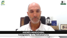 Antes vendías una vaca y comprabas 1 par de zapatos… ¿y hoy?; con Andrés Mendizabal - consignatario