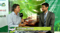 ¿Nos quedamos en 6,5 Mill Ha de Trigo, o podemos jugarnos a 8 Mill Ha?; con Esteban Copati - BCBA