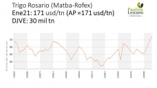 Trigo: crecerá o no la superficie sembrada?, con Paulina Lescano - Clínica de Granos
