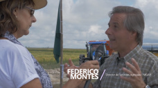 Uruguay TV: El arroz uruguayo, un ejemplo de producción y comercialización seguido por el mundo