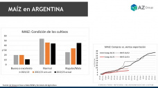 Maíz: La menor cosecha temprana del cereal poco impacto tiene en los precios, con Lorena D´Angelo - Clínica de Granos