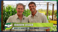 El valor de la genética de Maíz y los NUEVOS híbridos hiper flexibles de alto rinde de Nidera; con J. Lesser