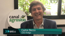 Cuando el microbioma y la agricultura digital cambian la lógica agronómica de la producción; con C. Becco - Indigo