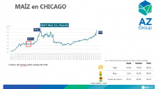Maíz: Sin Ucrania en el mercado, la demanda busca otros orígenes, con Lorena D´Angelo - Clínica de Granos