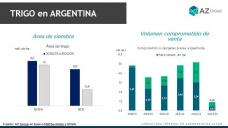 Trigo: Menor ritmo de ventas del productor, ¿presionan los precios a fin de año?, con Catalina Ferrari - Clínica de Granos