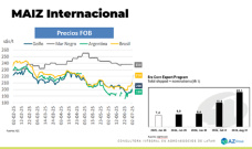 Maíz: Avanza la cosecha y la oferta deprime los precios; con Lorena D´Angelo - Clínica de Granos