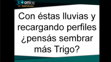 30 online B4: ¿Qué nos dicen los productores sobre sembrar más o menos Trigo?