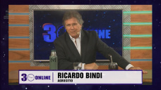 Un mundo que nos demanda y un Gobierno que involuciona; por Ricardo Bindi