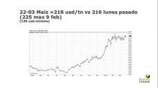 Maíz: Días de subas y bajas, esperando noticias del mercado internacional, con Paulina Lescano - Clínica de Granos