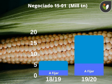 ¿Hay maíz, o no hay? Hoy hay maíz, pero todavía faltan dos meses para la cosecha; con Paulina Lescano