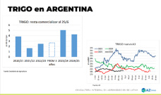 Trigo: demasiada oferta global, poco margen para subas; con Lorena D´Angelo - Clínica de Granos