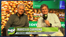 Un año con mucho frío para estar alertas a las enfermedades de los cultivos; con Marcelo Carmona - fitopatólogo