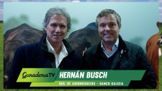 Créditos que impulsan la ganadería: charla con Hernán Busch, de Banco Galicia