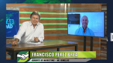 ¿Qué tipo de híbridos de Maíz mostraron mejor comportamiento frente a La Niña?; con Paco Perez Brea - NK
