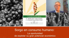 La oportunidad de producir Sorgo granífero para consumo humano sin gluten; con Lic. Luis Gruttaroti
