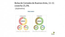 Trigo: una de cal y otra de arena, los precios del trigo 2021 siguen mas que interesantes, pero la producción sigue generando preocupación, con Paulina Lescano 