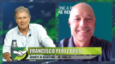 Manejo y genética aplicados a Maíz tardío, y Girasol en año seco; con Paco Pérez Brea - NK Semillas