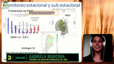 Un verano con Niña bajando intensidad aportando lluvias sectorizadas; con Gabriela Marcora - SMN