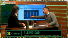 Cómo es el Plan que diseño un Productor pampeano para sacar las Retenciones; con Albino Cao - contador