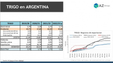 Trigo: Con o sin intervención el precio el cereal seguirá firme, con Lorena D´Angelo - Clínica de Granos