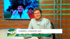¿Quién gana y quién pierde con el Peso Mínimo de Faena?; con Gabriel Caramelino