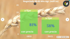 Trigo: recupera en Chicago, pero sigue muy por debajo de los máximos del 2020, con Paulina Lescano - Clínica de Granos