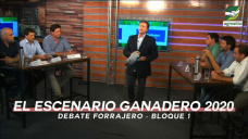 Debate Forrajero: Bloque 1 - ¿Cómo ven el escenario Ganadero 2020?