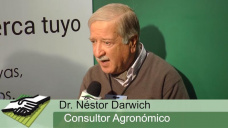 TV: ¿Cuales son los desafíos agronómicos para un Trigo que de plata?; con N. Darwich